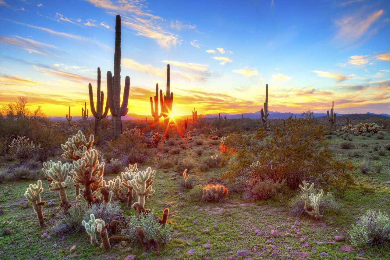 Cambria Hotel Phoenix - North Scottsdale Экстерьер фото
